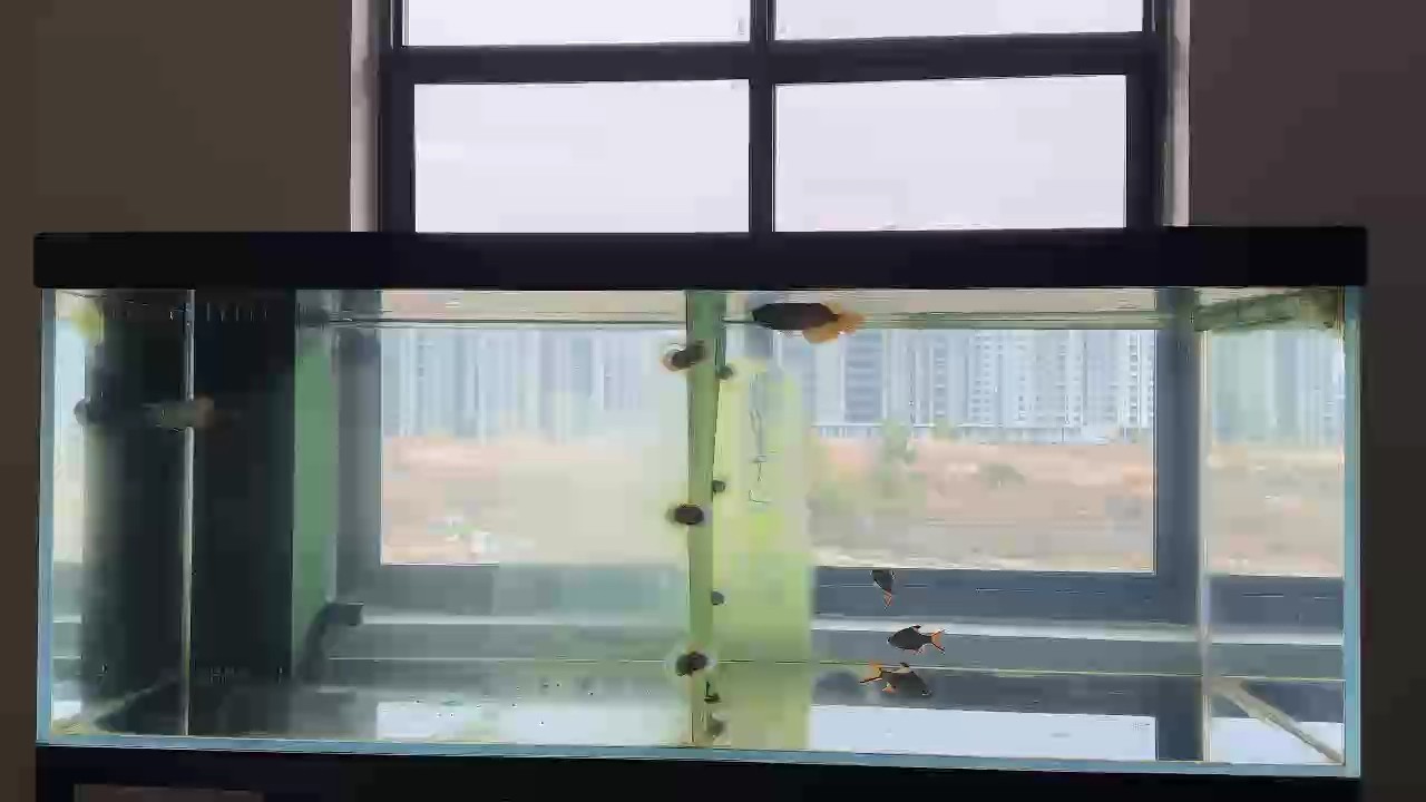 徹底清澈了