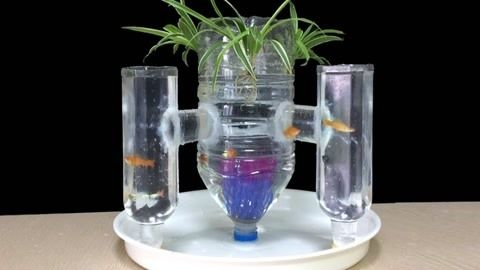 大塑料瓶如何做立體魚缸視頻教學：如何使用大塑料瓶制作立體魚缸