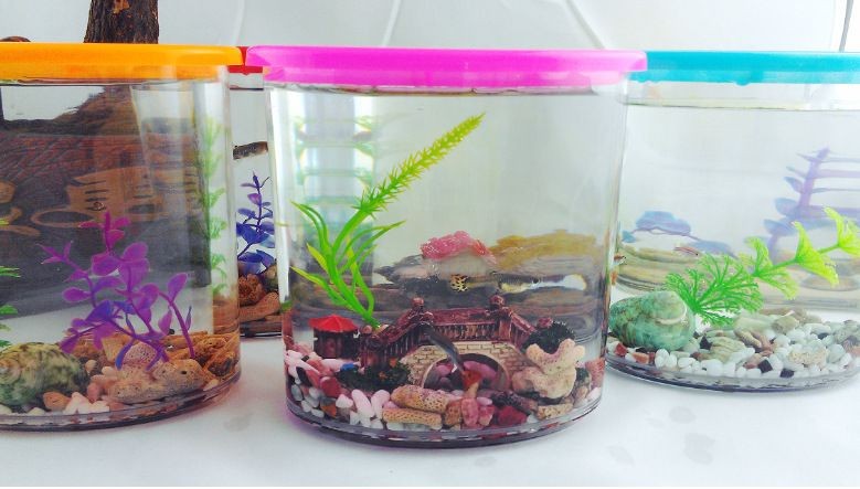 大塑料瓶如何做立體魚缸視頻教學：如何使用大塑料瓶制作立體魚缸