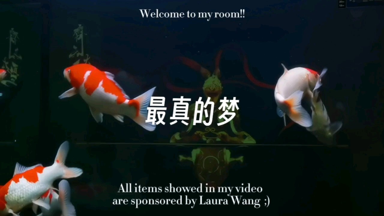 何以解憂？唯有…賞鯉 何以解憂？唯有…賞鯉 龍魚論壇