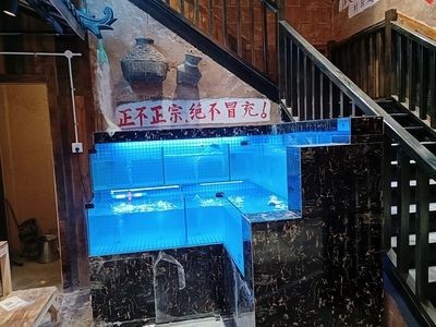 定做海鮮池魚缸多少錢一個合適：定做海鮮池魚缸價格