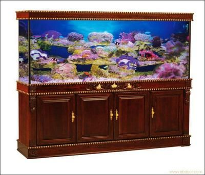 大型定做魚缸多少錢一個：定制大型魚缸價格因材質、尺寸、形狀以及附件和配件和品質管理 大型定做魚缸多少錢一個：定制大型魚缸價格因材質、尺寸、形狀以及附件和配件和品質管理 魚缸百科 第1張