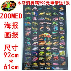防止龍魚掉眼燈放在什么位置好 防止龍魚掉眼燈放在什么位置好 龍魚百科 第1張