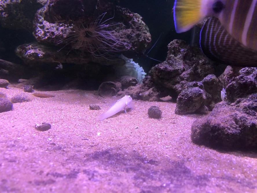 養(yǎng)水養(yǎng)魚好心情