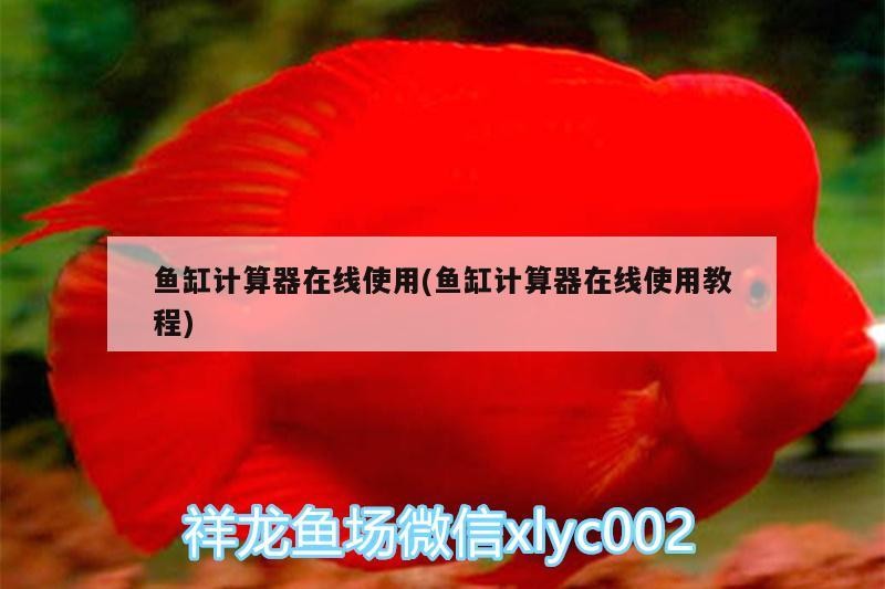 魚缸計算器在線使用(魚缸計算器在線使用教程)