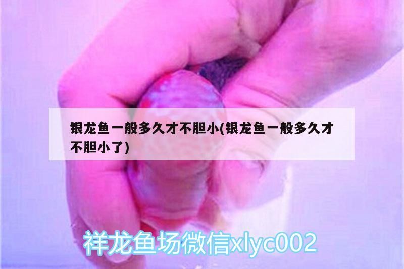 龍魚鰓蓋爛洞多久會死，如何預防龍魚鰓蓋爛洞？