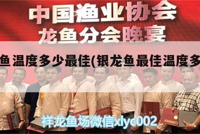 銀龍魚溫度多少最佳(銀龍魚最佳溫度多少合適)
