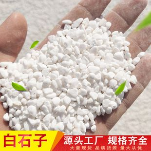 白玉石魚缸造景：白玉石魚缸造景的優點和缺點