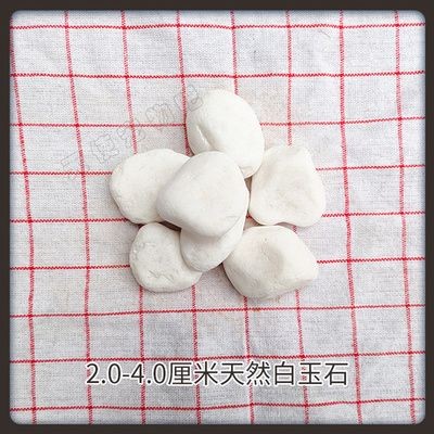 白玉石魚缸造景：白玉石魚缸造景的優點和缺點