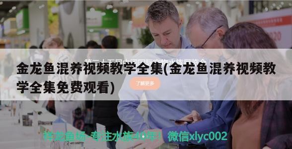 龍魚生病時有哪些常見癥狀？（魚在生病時會表現(xiàn)出一系列癥狀）