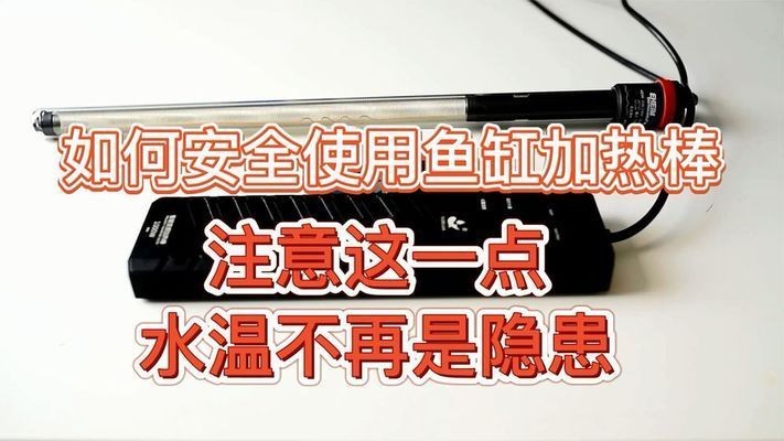 不銹鋼魚缸加熱棒危險嗎：不銹鋼魚缸加熱棒的使用方法