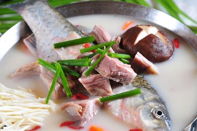 觀賞魚平臺有哪些品牌（熱帶魚的世界之旅）