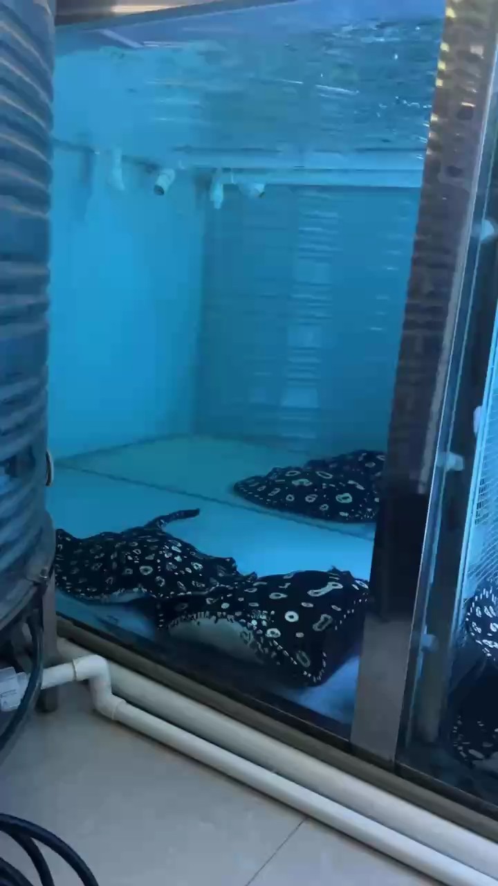 換水?