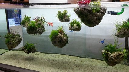 超小型魚缸造景設計效果圖：超小型魚缸的造景設計