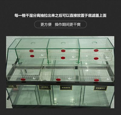 魟魚水族箱布置技巧：魟魚水族箱布置技巧及注意事項