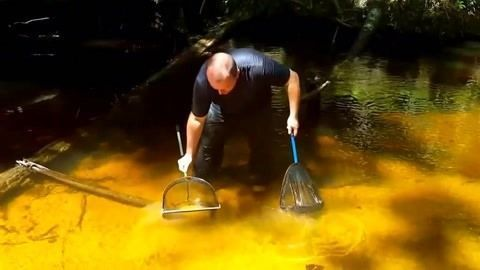 魟魚飼料中蛋白質含量標準，魟魚飼料中的蛋白質含量標準[需手動填充]魚飼料蛋白質含量標準 魟魚飼料中蛋白質含量標準，魟魚飼料中的蛋白質含量標準[需手動填充]魚飼料蛋白質含量標準 魟魚百科 第3張
