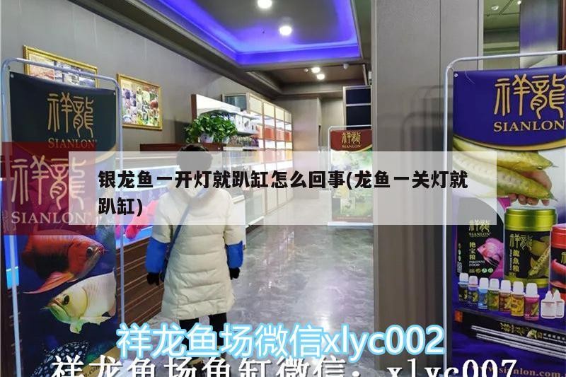 銀龍魚一開燈就趴缸怎么回事(龍魚一關燈就趴缸)