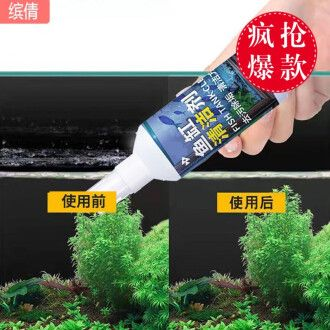 大型魚缸清潔魚:大型魚缸清潔魚的種類和作用和作用和作用和作用 魚缸百科 第4張 大型魚缸清潔魚:大型魚缸清潔魚的種類和作用和作用和作用和作用 大型魚缸清潔魚:大型魚缸清潔魚的種類和作用和作用和作用和作用 魚缸百科 第4張