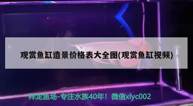 觀賞魚缸造景價格表大全圖(觀賞魚缸視頻)