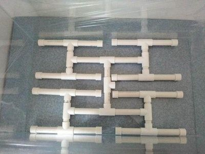 紅眼睛龍與生肖龍的關(guān)聯(lián)主要體現(xiàn)在文化象征和五行屬性上，眼睛龍與生肖龍的關(guān)聯(lián)主要體現(xiàn)在文化象征和五行屬性上 紅眼睛龍與生肖龍的關(guān)聯(lián)主要體現(xiàn)在文化象征和五行屬性上，眼睛龍與生肖龍的關(guān)聯(lián)主要體現(xiàn)在文化象征和五行屬性上 龍魚百科 第2張