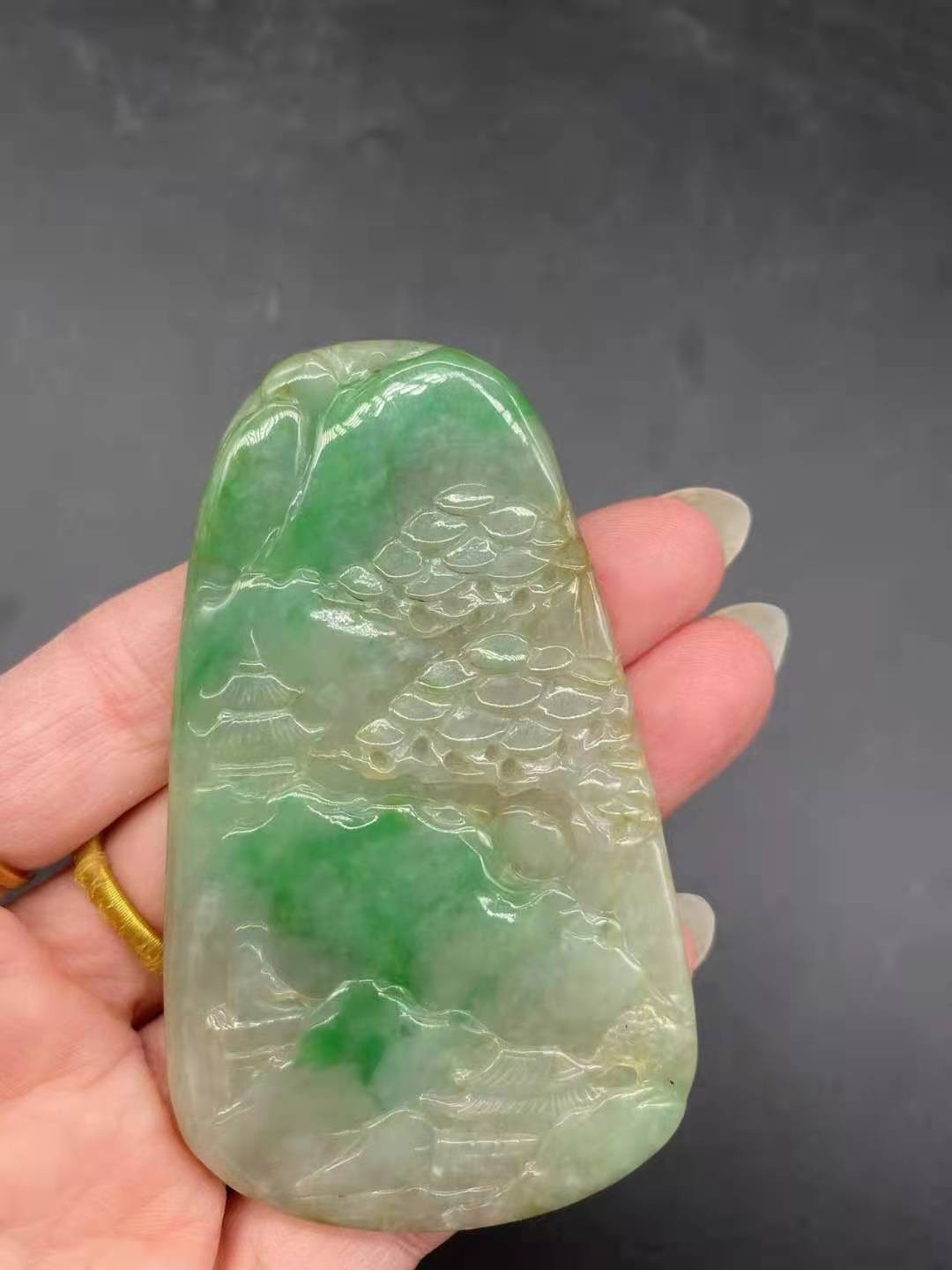 銀龍魚分幾個品種(銀魚有幾個品種)