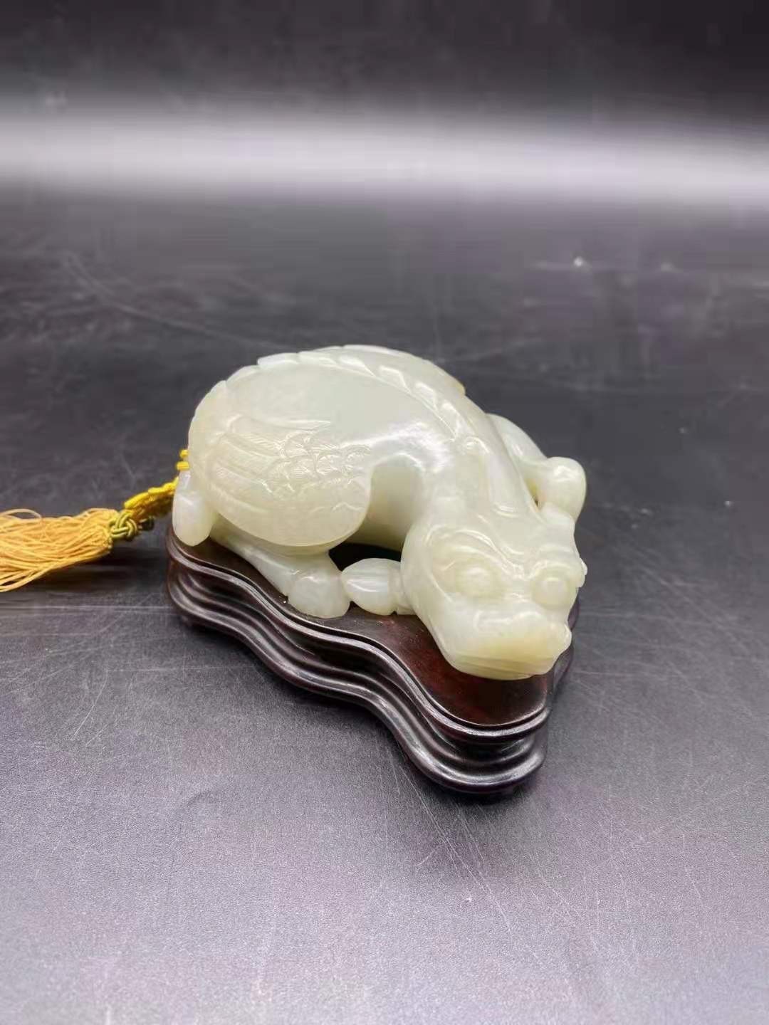 銀龍魚分幾個品種(銀魚有幾個品種)