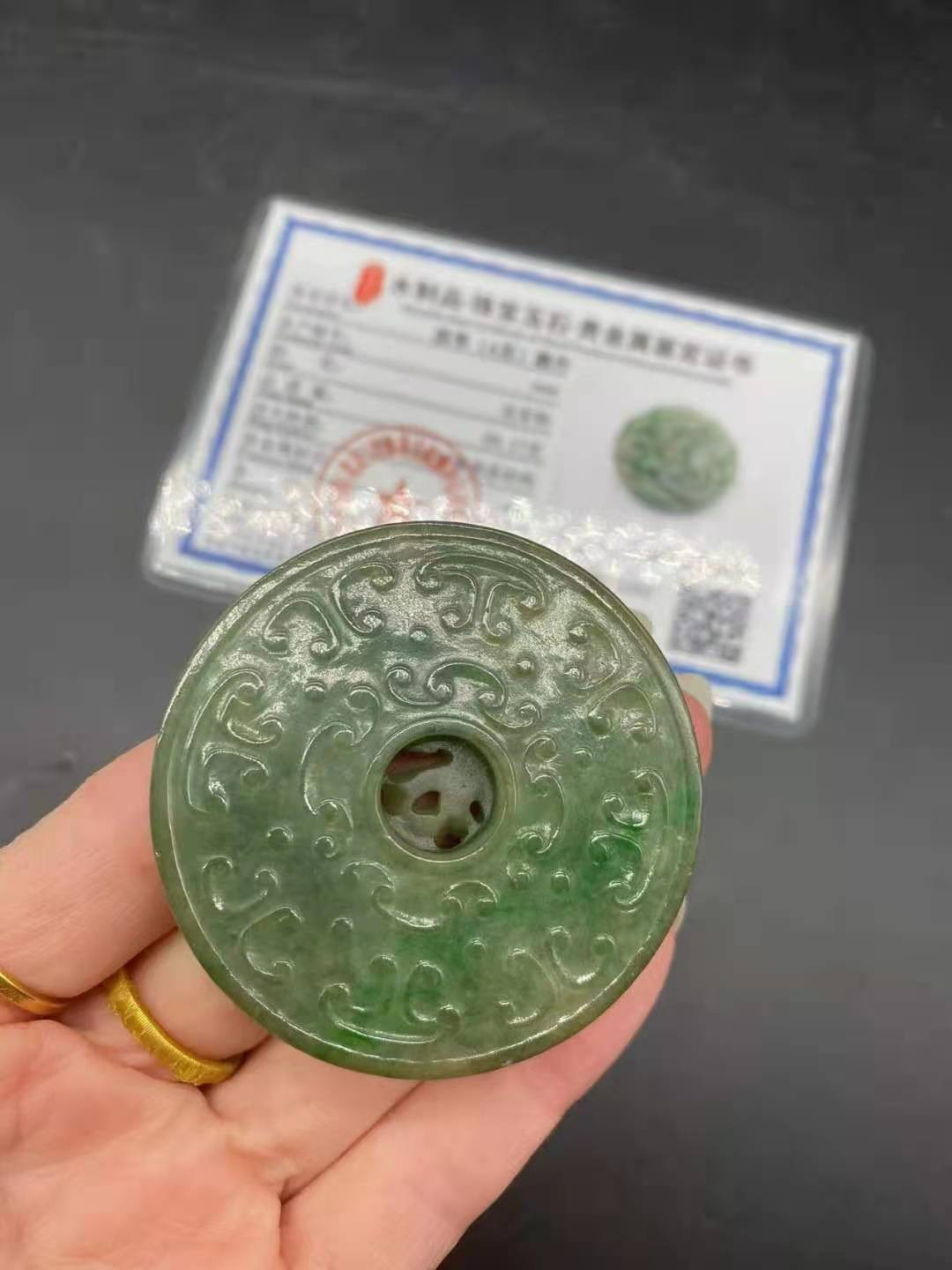 銀龍魚分幾個品種(銀魚有幾個品種)
