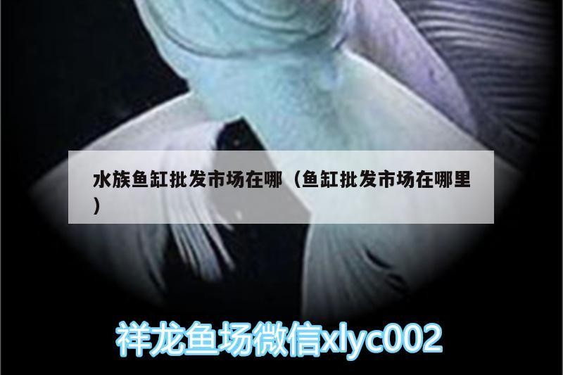 水族魚缸批發市場在哪（魚缸批發市場在哪里）