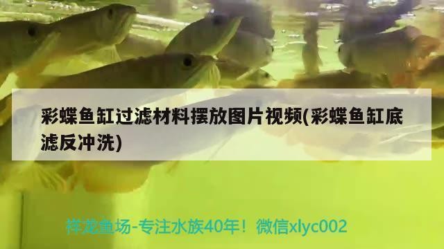 魚缸晾干后還會(huì)有細(xì)菌嗎（魚缸晾干后還會(huì)有細(xì)菌嗎為什么）
