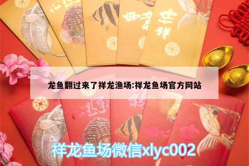 龍魚翻過來了祥龍漁場:祥龍魚場官方網站