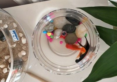 鵝卵石對魚缸水質的影響：鵝卵石對魚缸水質的影響一直是養好者關心的話題