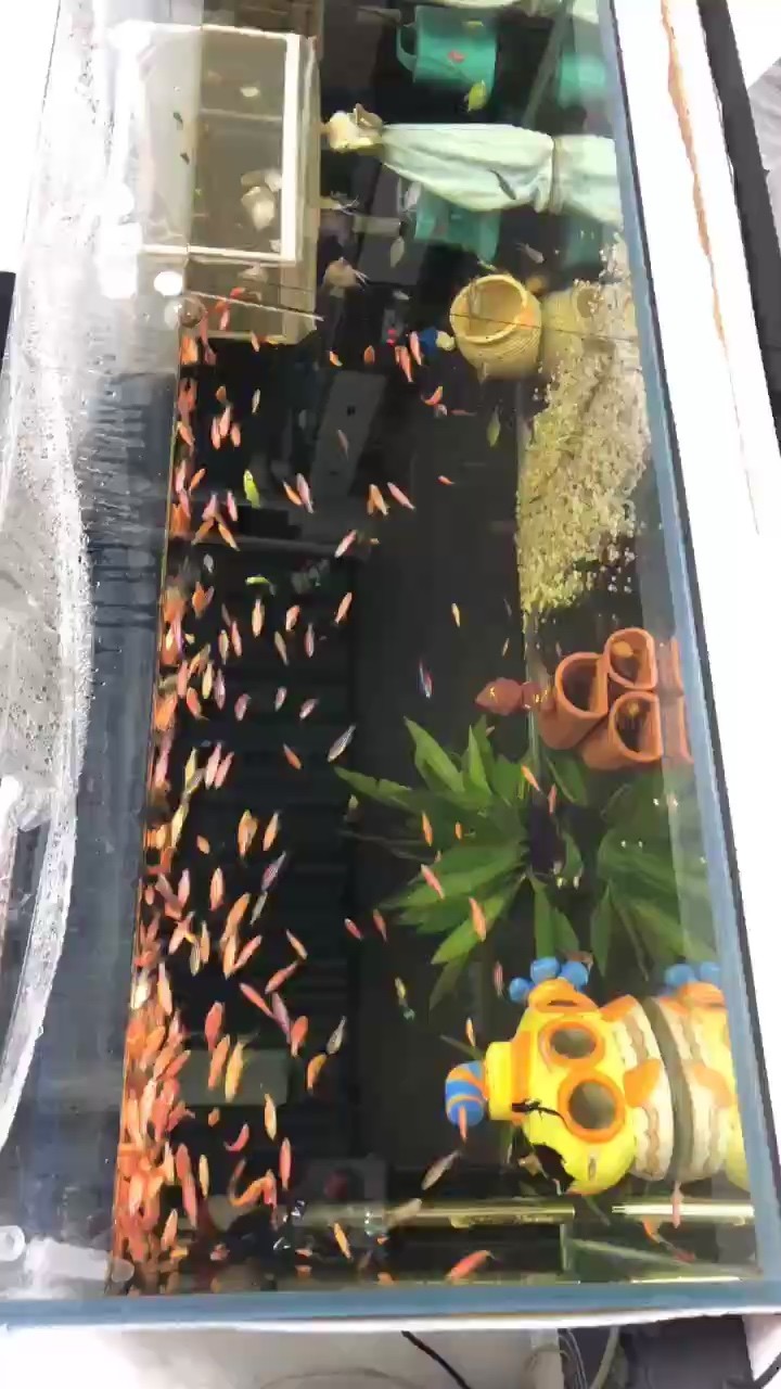 不錯不錯