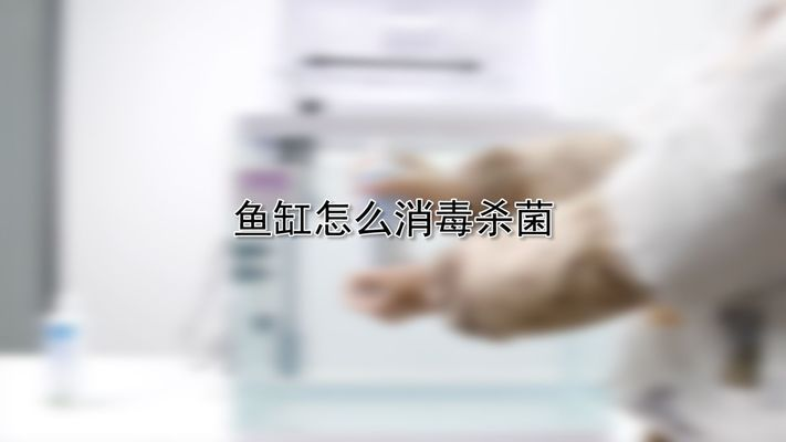 大魚缸怎么清理消毒視頻：大魚缸清理消毒視頻教程&nbsp