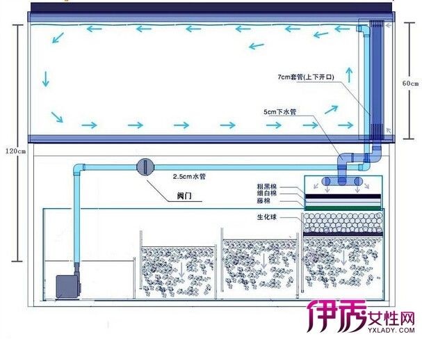 成品底濾魚缸工作原理：底濾魚缸的工作原理 成品底濾魚缸工作原理：底濾魚缸的工作原理 魚缸百科 第1張