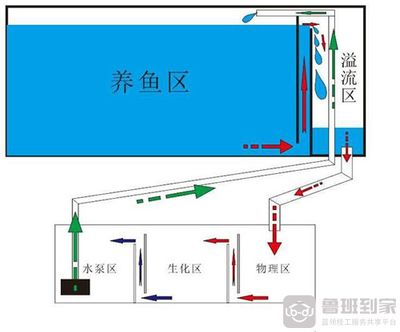 成品底濾魚缸工作原理：底濾魚缸的工作原理 成品底濾魚缸工作原理：底濾魚缸的工作原理 魚缸百科 第3張