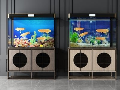 18cm長(zhǎng)的銀龍魚(yú)要多大的魚(yú)缸養(yǎng)：18cm的銀龍魚(yú)要多大的魚(yú)缸養(yǎng) 18cm長(zhǎng)的銀龍魚(yú)要多大的魚(yú)缸養(yǎng)：18cm的銀龍魚(yú)要多大的魚(yú)缸養(yǎng) 魚(yú)缸百科 第2張