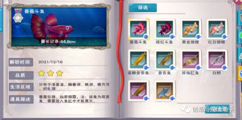 創造與魔法魚缸擺件：《創造與魔法》怎么獲取魚缸擺件 創造與魔法魚缸擺件：《創造與魔法》怎么獲取魚缸擺件 魚缸百科 第1張