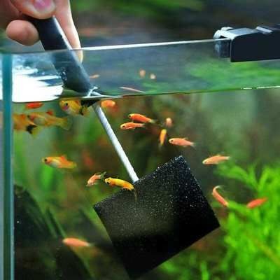 大型魚缸怎么清洗：如何清洗大型魚缸