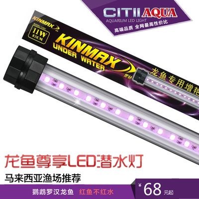龍魚潛水燈用日光還是增艷燈,龍魚增艷燈使用指南 龍魚百科 第5張 龍魚潛水燈用日光還是增艷燈,龍魚增艷燈使用指南 龍魚潛水燈用日光還是增艷燈,龍魚增艷燈使用指南 龍魚百科 第5張