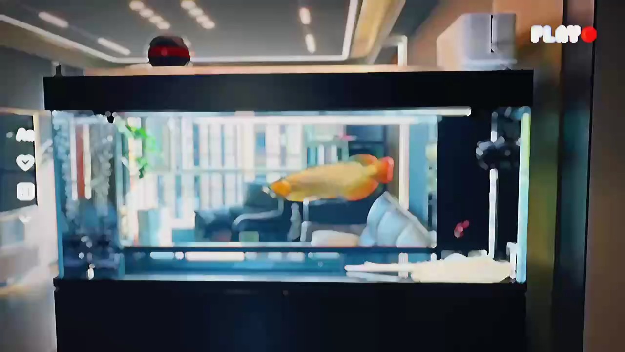 狀態好就好