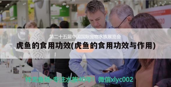 虎魚的食用功效(虎魚的食用功效與作用)
