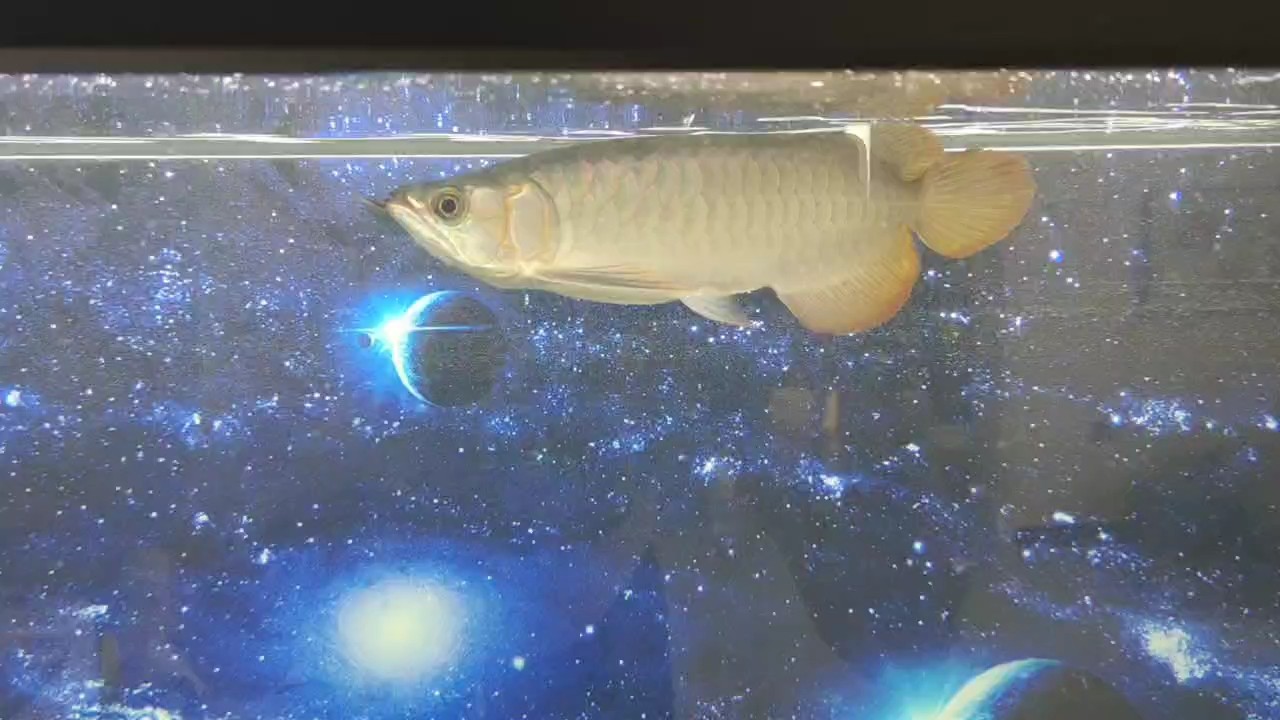 10天的變化