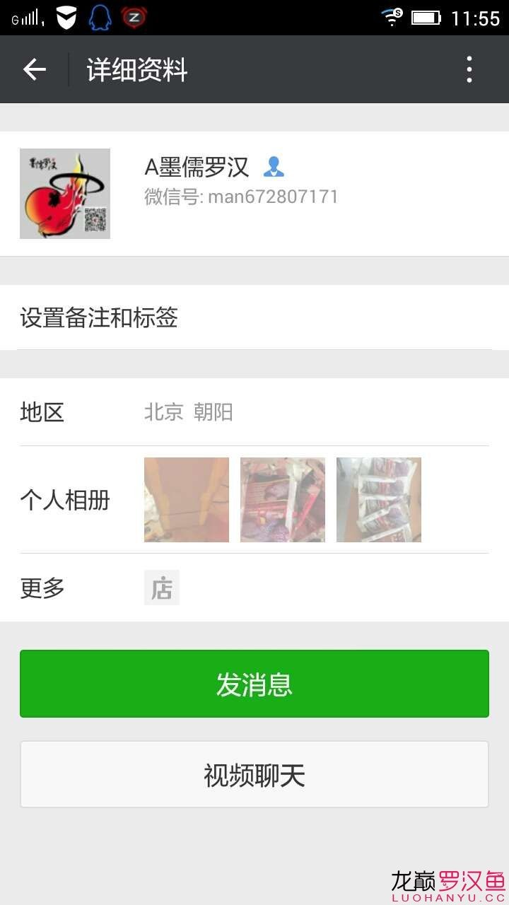 墨儒羅漢小魚缸我是這樣養羅漢的 墨儒羅漢小魚缸我是這樣養羅漢的 魟魚百科 第4張