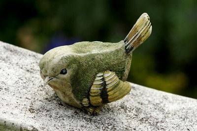 純血魟魚市場需求變化，純血魟魚市場需求呈現(xiàn)增長趨勢 純血魟魚市場需求變化，純血魟魚市場需求呈現(xiàn)增長趨勢 魟魚百科 第1張
