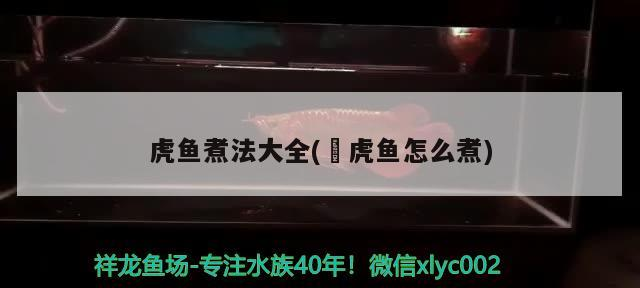 虎魚煮法大全(鰕虎魚怎么煮)