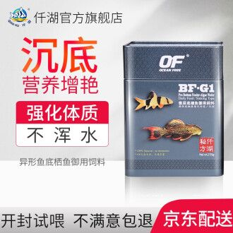 BD魟魚飼料成分解析，bd魟魚飼料中的維生素對健康的影響