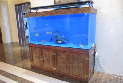 大魚缸養魚不用循環泵可以嗎：養魚水泵的作用是什么？
