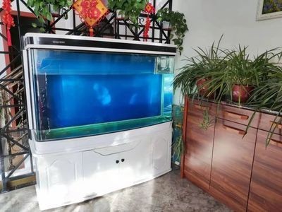 大號魚缸轉讓出售:♂大號魚缸轉讓出售信息僅供參考 魚缸百科 第1張 大號魚缸轉讓出售:♂大號魚缸轉讓出售信息僅供參考 大號魚缸轉讓出售:♂大號魚缸轉讓出售信息僅供參考 魚缸百科 第1張