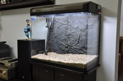 大號魚缸轉讓出售:♂大號魚缸轉讓出售信息僅供參考 魚缸百科 第4張 大號魚缸轉讓出售:♂大號魚缸轉讓出售信息僅供參考 大號魚缸轉讓出售:♂大號魚缸轉讓出售信息僅供參考 魚缸百科 第4張