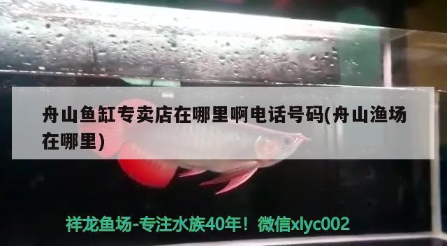 <strong><mark>舟山</mark></strong>魚缸專賣店在哪里啊電話號碼(<strong><mark>舟山</mark></strong>漁場在哪里)